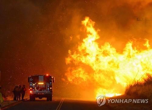 폭염으로 미국 남서부 산불 악화 [EPA=연합뉴스 자료사진]