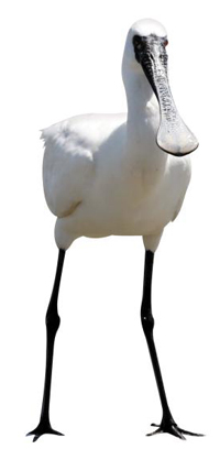 호수유통 이미지