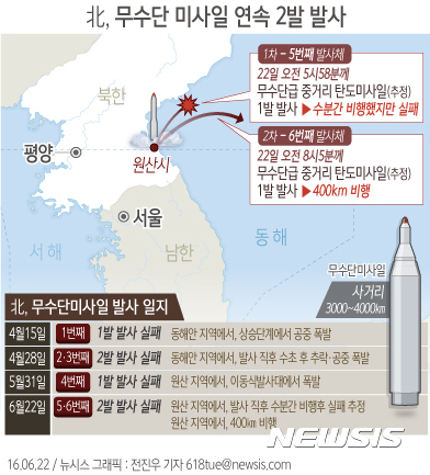 일본 정부 