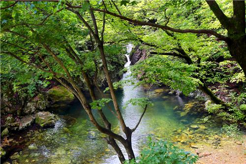 초록빛깔 싱그러운 구룡소. 사진/임귀주 기자
