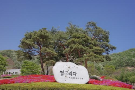 별;그리다 이미지