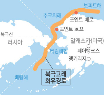 고래호프 이미지