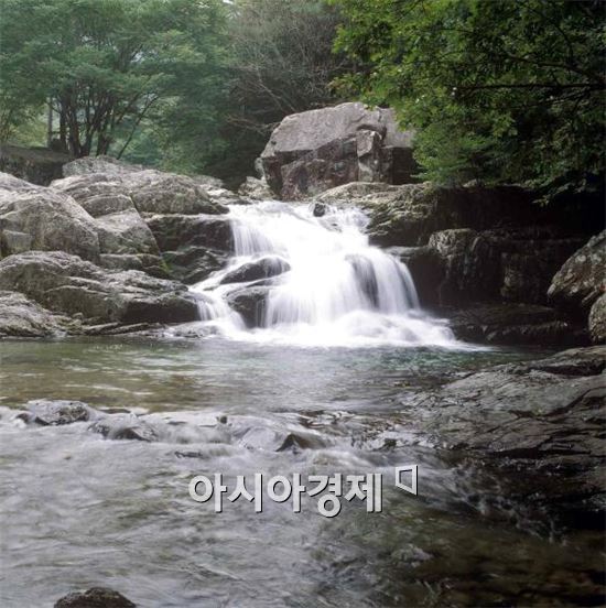 속리산청정한우 이미지