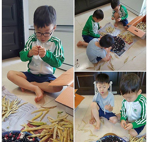 삼둥이네 이미지