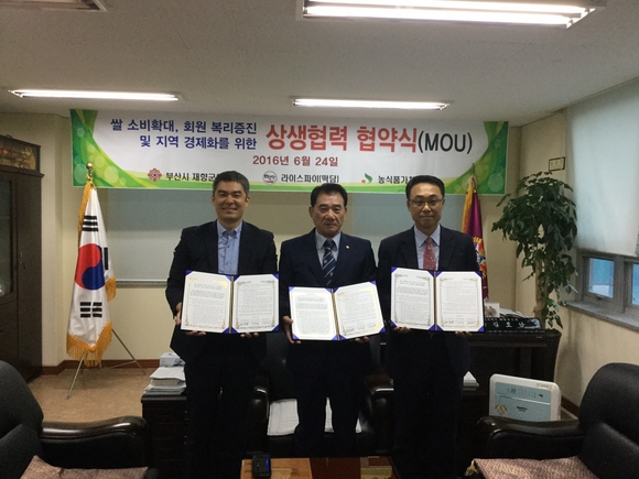 라이스파이 이미지