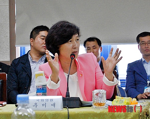 당대표 도전 추미애