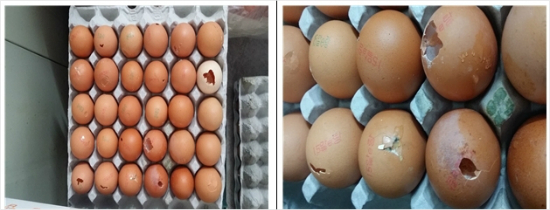 대송유통 이미지