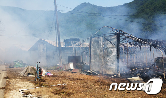 홍천양계 이미지