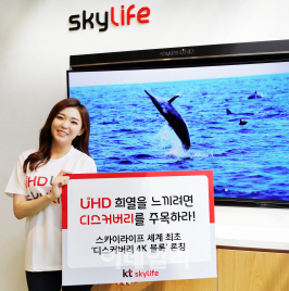 스카이라이프 이미지