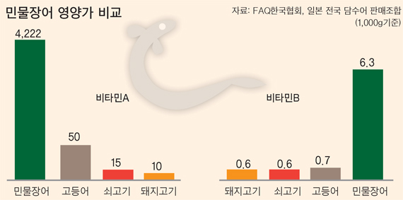 강화민물장어 이미지