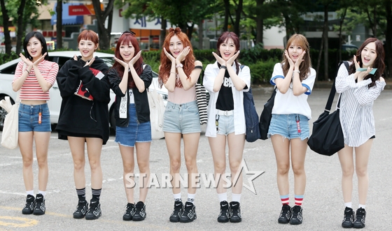 푸른소나무 이미지