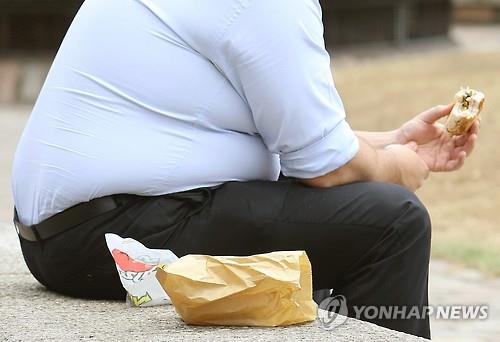 미국 심장질환 사망률 하락세 '주춤'..범인은 비만 - 연합뉴스