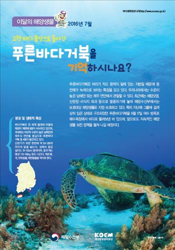 거북 이미지