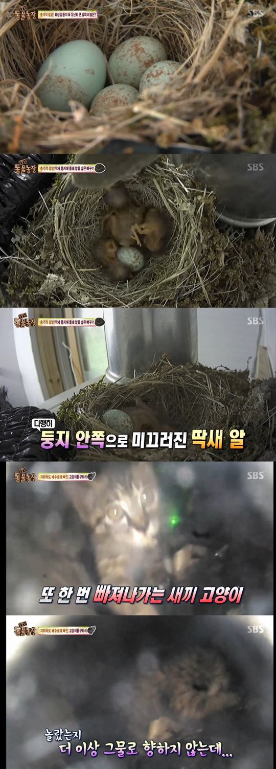 정선희미용실 이미지