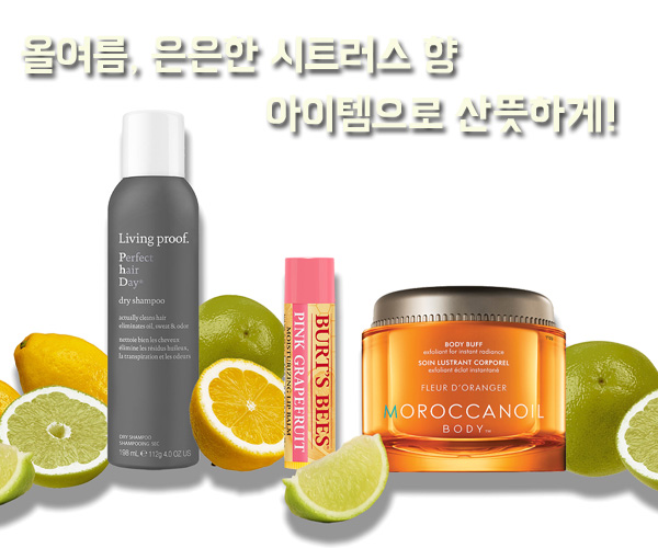 시트러스 이미지