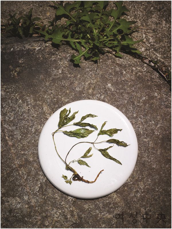 ��� �̹���