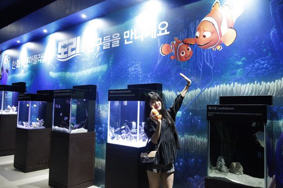 도리투어 이미지