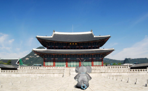세계여행주 이미지