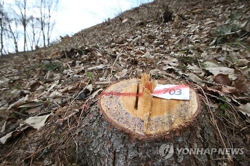 소나무수산 이미지