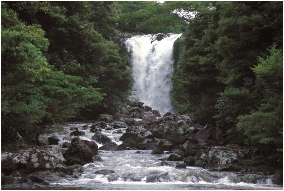 장마철 제주의 특급 경관..한라산의 마른 폭포들