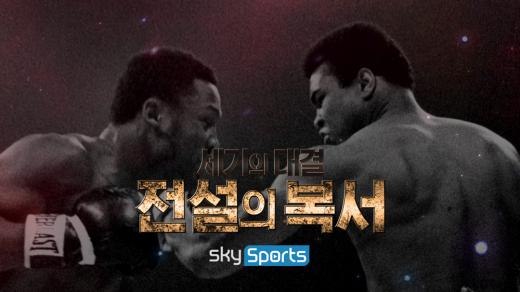 세기스포츠 이미지