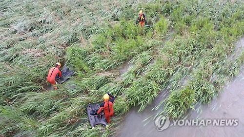 정선 급류 실종 노인 2명 추정 시신 발견..인양 중(종합) - 연합뉴스