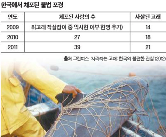 고래친구 이미지