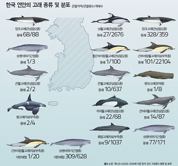 아가미 이미지