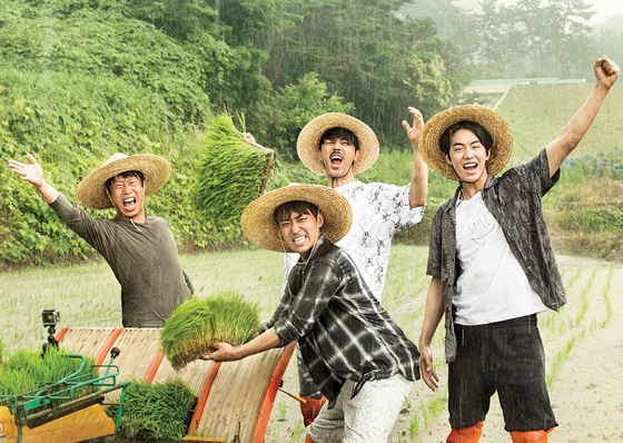 삼시세끼 이미지