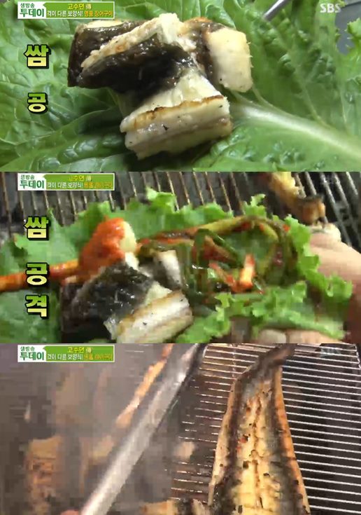 데일리장어 이미지
