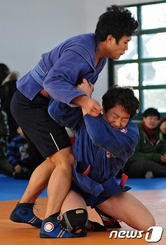 법인삼보 이미지