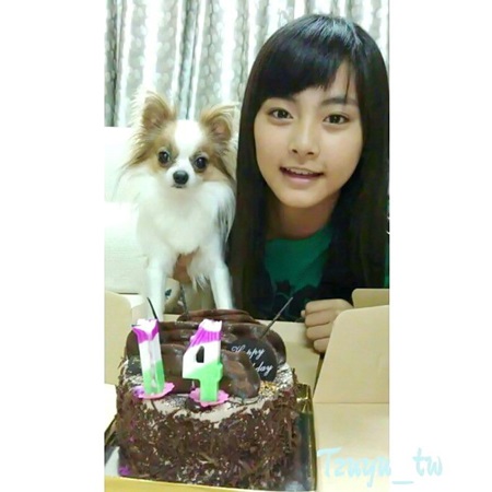 예쁨주의 이미지