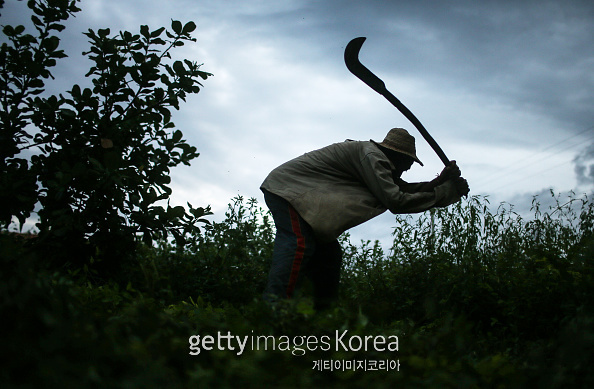 새벽농가축산 이미지