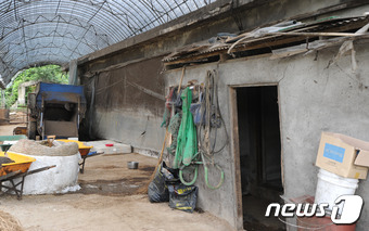 노예 지적 장애인이 살던 쪽방(우측 문) © News1 김용빈 기자
