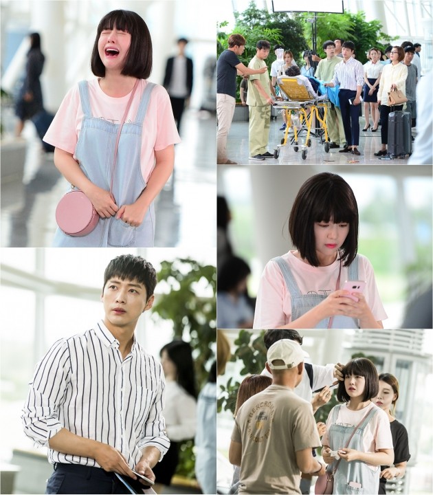 공심이 이미지