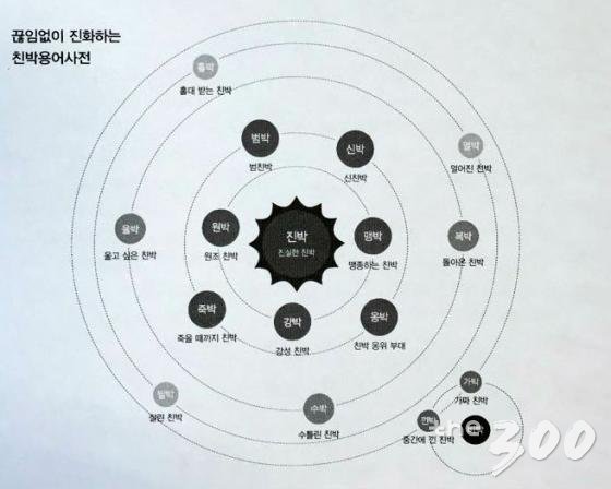 친박용어사전/새누리당 총선백서 '국민백서' 발췌