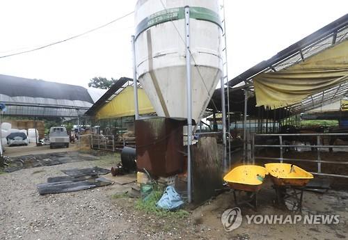 '축사노예' 만득이 모친 상봉뒤 심리호전..경찰