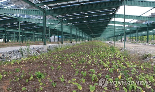 광대발전소 이미지