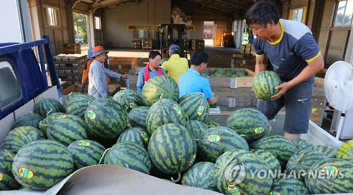 형제농산물마트 이미지