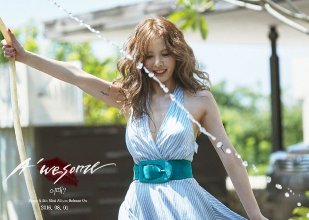 에이플러스진(A+진) 이미지