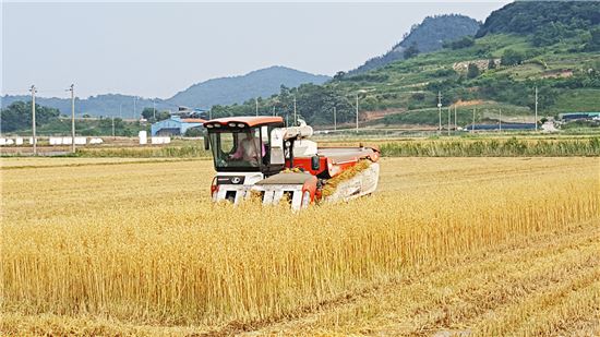 88푸드 이미지