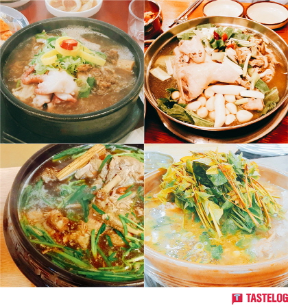 테이스트 이미지