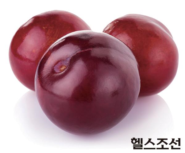[헬스조선]8월 제철식품, 자두