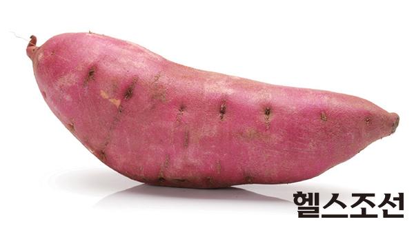 [헬스조선]8월 제철식품, 고구마