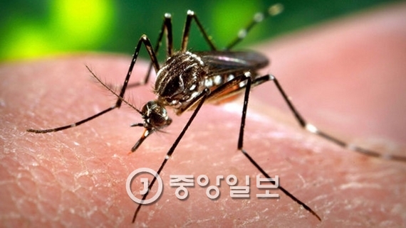 美 바이러스 이미지