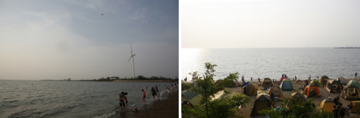 탄도수산물직판장 이미지