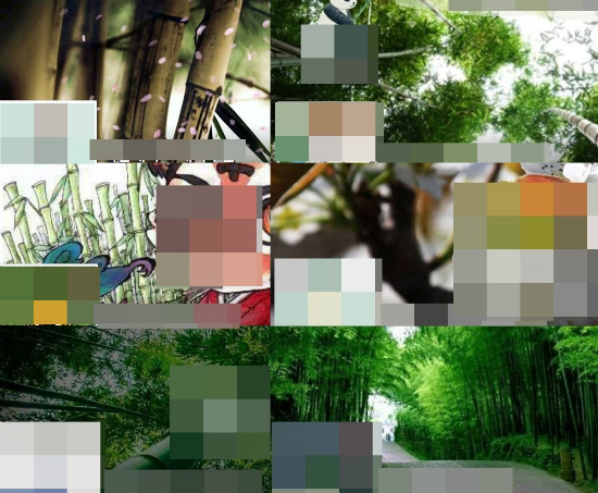대나무숲·강남패치..'지킬과 하이드' 되나? - 노컷뉴스