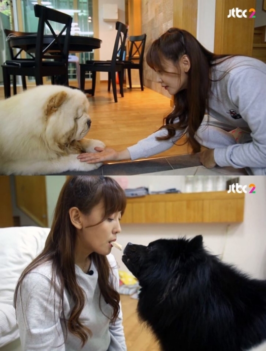 다나하루 이미지