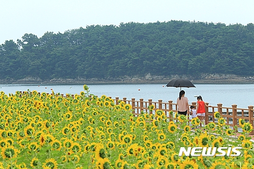 솔섬 이미지