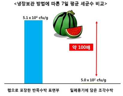 수박 이미지